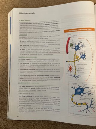 Biología, Geología y Ciencias Ambientales 1 Bac...