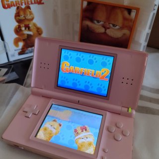 Nintendo DS Lite Rosa en su caja.