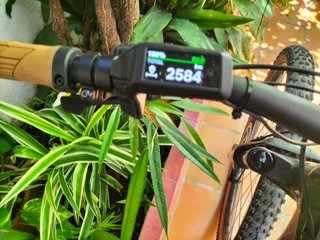 Bicicleta Eléctrica Trek Powerfly FS 4