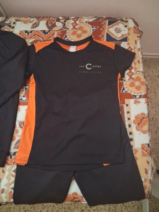 Conjunto deportivo Instituto Canigó Almacelles