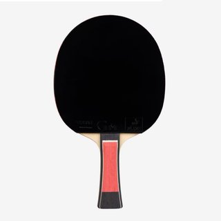 Raqueta Ping Pong Tibhar Lebrun Pro X