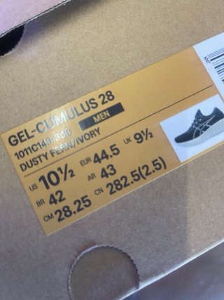 Scarpe Asics Gel-Cumulus 28 Grigio/Verde Tg 44.5