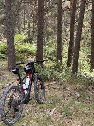 Bulls Copperhead Evo 3 Eléctrica