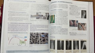 Anatomía aplicada