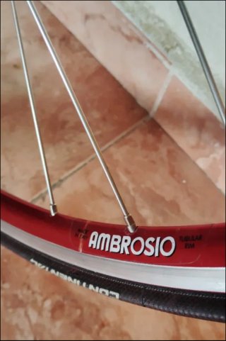 Rueda delantera Ambrosio Tubular