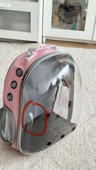 Transportín para gatos transparente y rosa