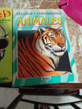 Libros de lectura infantil