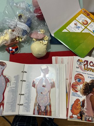 Lotto Esplorando il Corpo Umano DeAgostini