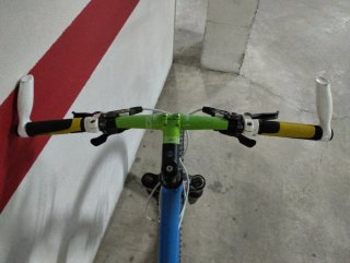 Bicicleta Focus Rainforest