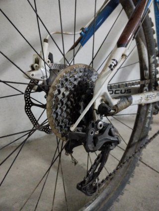 Bicicleta Focus Rainforest