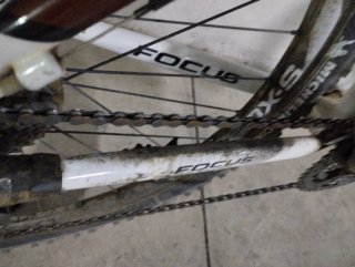 Bicicleta Focus Rainforest