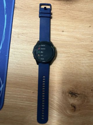 Garmin Forerunner 255 Music