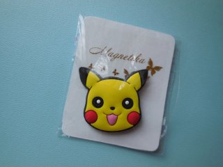Calamite da frigo Pokemon