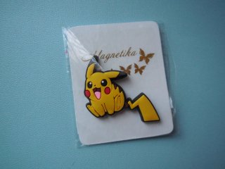 Calamite da frigo Pokemon