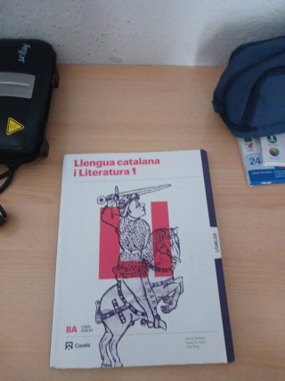 Llengua catalana i Literatura 1 BA