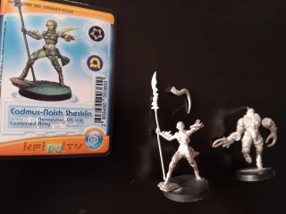 Infinity Cadmus-Naish Sheskiin mas Iskaller