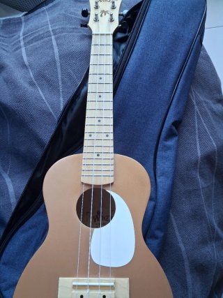 Ukelele modelo concierto marrón con funda y capo