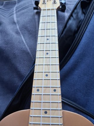 Ukelele modelo concierto marrón con funda y capo