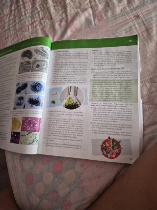 Biología, Geología y Ciencias Ambientales 1 Bac...