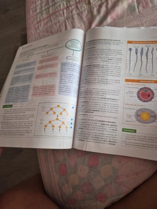 Biología, Geología y Ciencias Ambientales 1 Bac...
