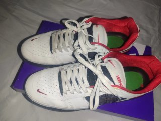 Nike SB Ishod Wair Premium Chicago White red