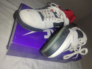 Nike SB Ishod Wair Premium Chicago White red