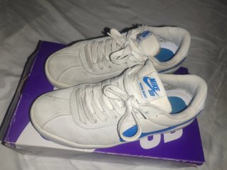 Nike SB Bruin React Summit White Signal Blue