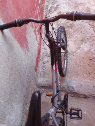 Bicicleta de Montaña