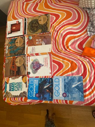 Libros de 1ro bachillerato Colegio Gredos San Dieg