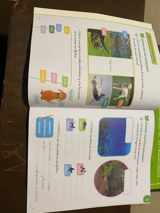Diario de aprendizaje primero de primaria