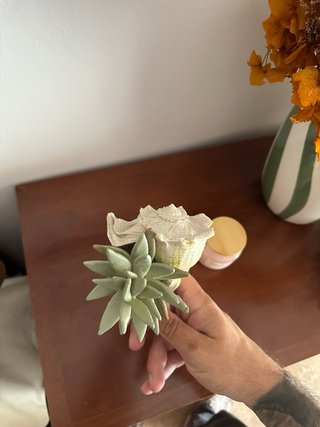 Lote Decoración: Caracola, Portavelas y Vela