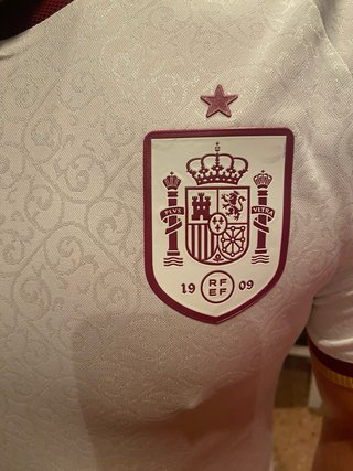 Camiseta España A. Iniesta 6