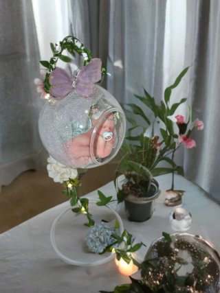 Bebé Reborn Fantasía Cúpula Cristal