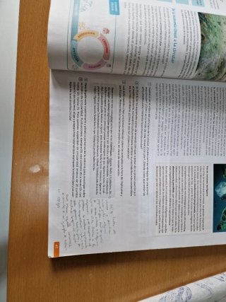 1 Bachillerato, Economía Revuela