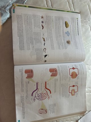 Biología, Geología y Ciencias Ambientales. 1 Ba...