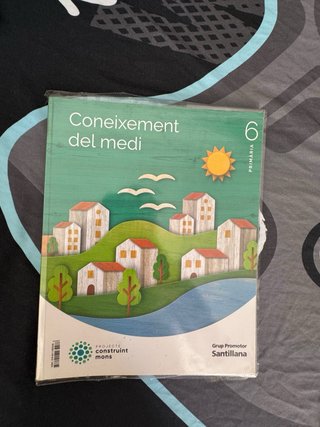 Lote de libros de 6º de Primaria (Catalán, Inglés,