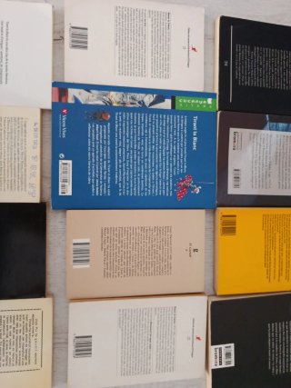 Libros lectura en valenciano