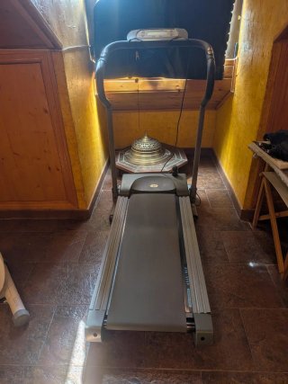 Elíptica + Cinta de Correr (las 2 cosas) (1viaje).