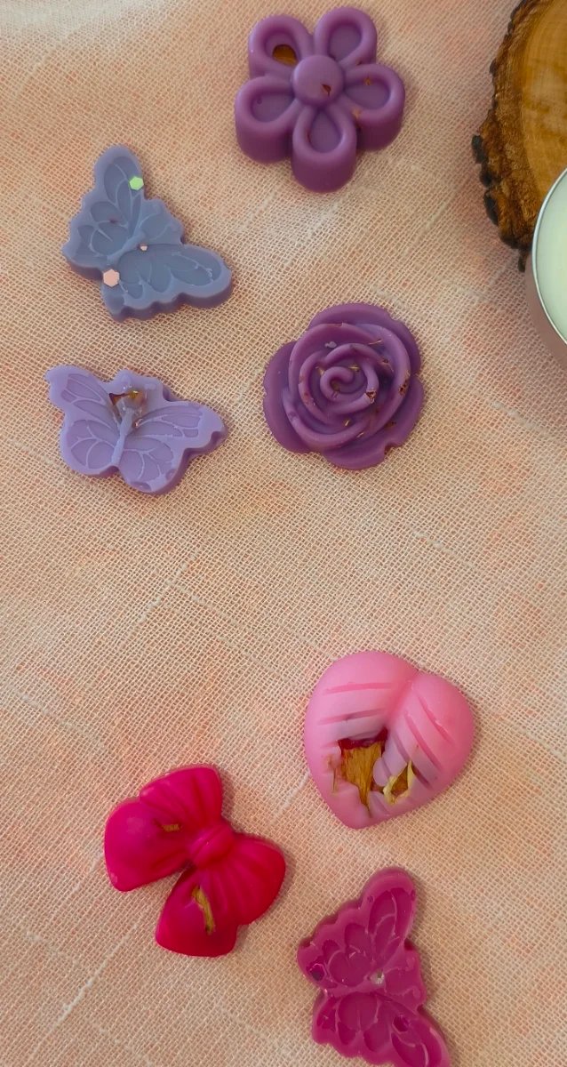 Pack degustación wax melts