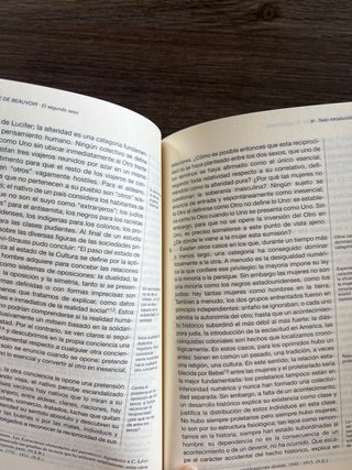 Simone de Beauvoir : lecturas críticas a la int...