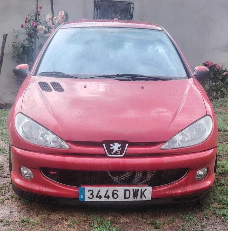 Peugeot 206 2006 - foto 1