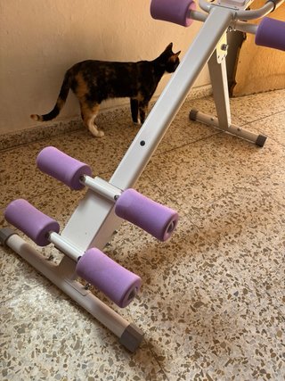 Máquina de abdominales