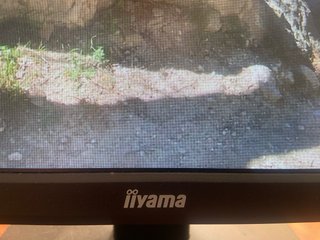 Monitor iiyama ProLite 23.8 Full HD 100Hz