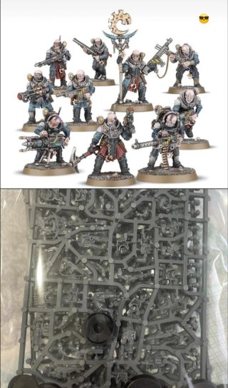 10 híbridos neófitos culto genestealer Warhammer40