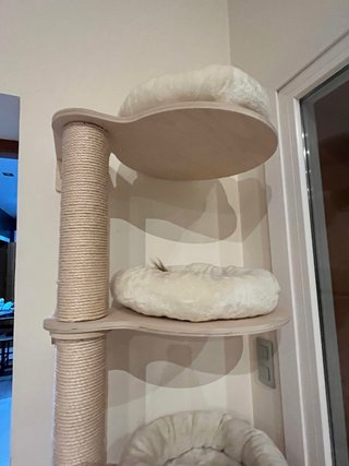 Rascador de gato