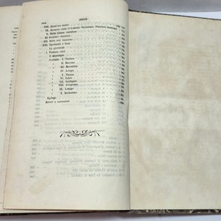 Libro 1859 Grande Illustrazione Lombardo Veneto