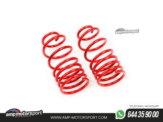 MUELLES DEPORTIVOS MTS TECHNIK MTSXCH003