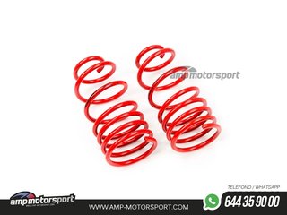 MUELLES DEPORTIVOS MTS TECHNIK MTSXPE009