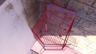 Jaula para pájaros roja