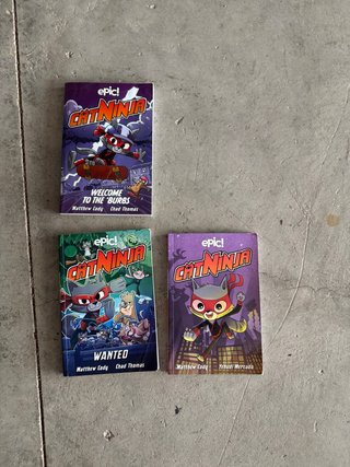 Cat Ninja juvenile books
